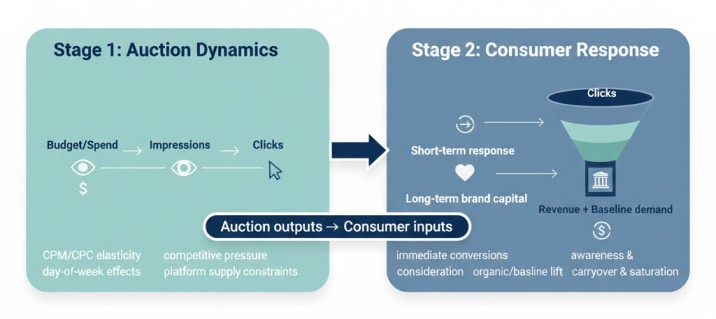 auction outputs and consumer inputs 